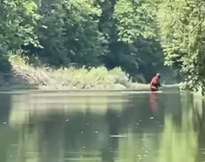 Captan en video a extraña criatura que atraviesa un río de EE. UU. y surgen diversas teorías de qué puede ser