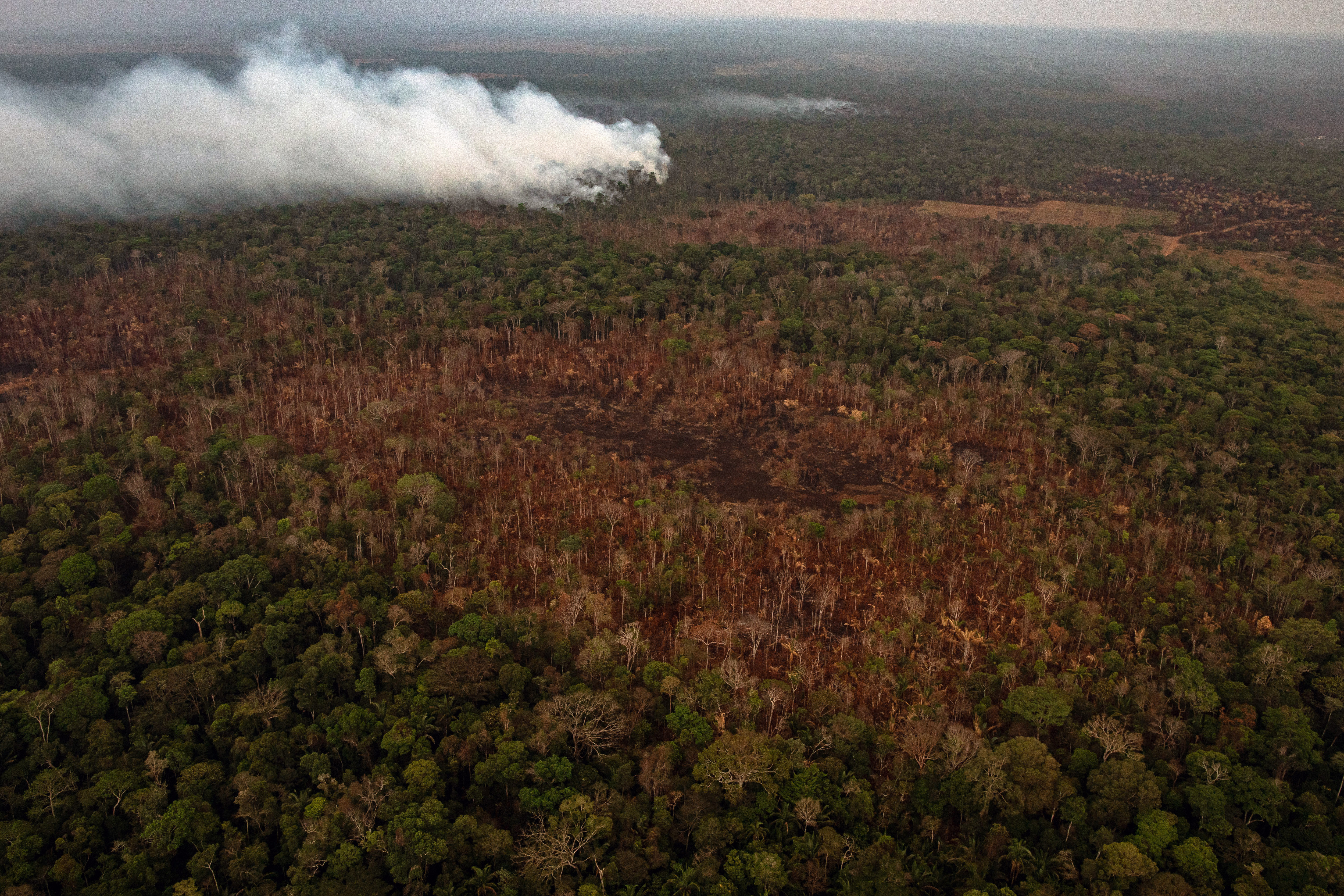 Una quema cerca de Porto Velho, en el estado de Rondonia en Brasil, el 26 de agosto de 2019 (Foto Prensa Libre: Victor Moriyama / The New York Times).