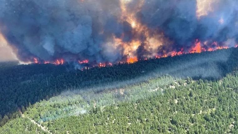 Un gigantesco incendio forestal en el Lago Sparks muestra uno de los efectos de la ola de calor. (Foto Prensa Libre: AFP)
