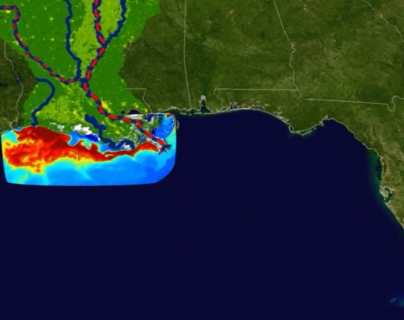“Zona muerta” del Golfo de México: la preocupante expansión de esta área en la que la vida marina es imposible
