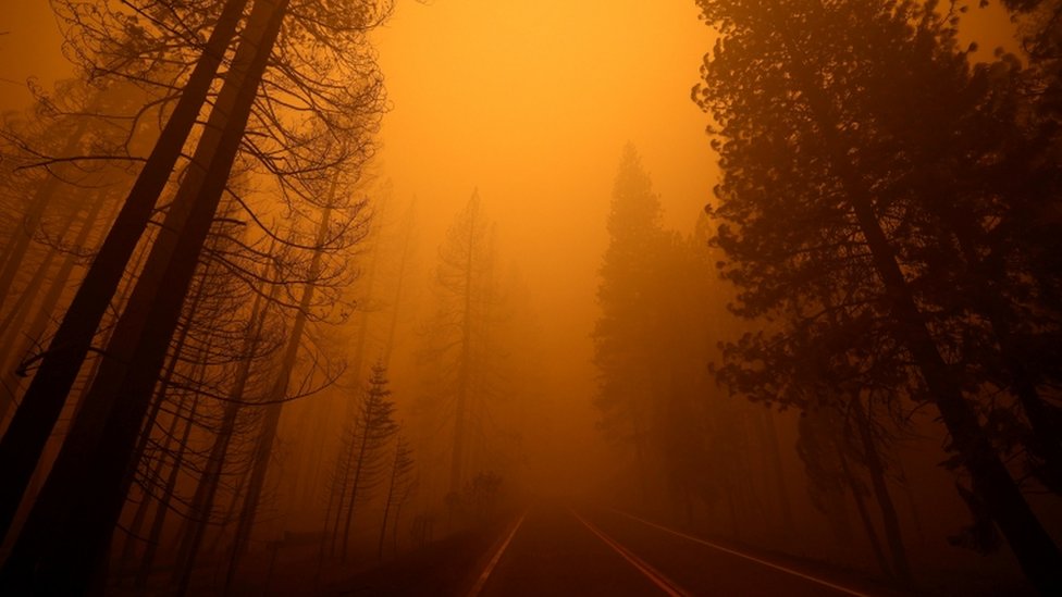 El humo y el cielo naranja sobre una ruta cerca de Greenville, California. (REUTERS)