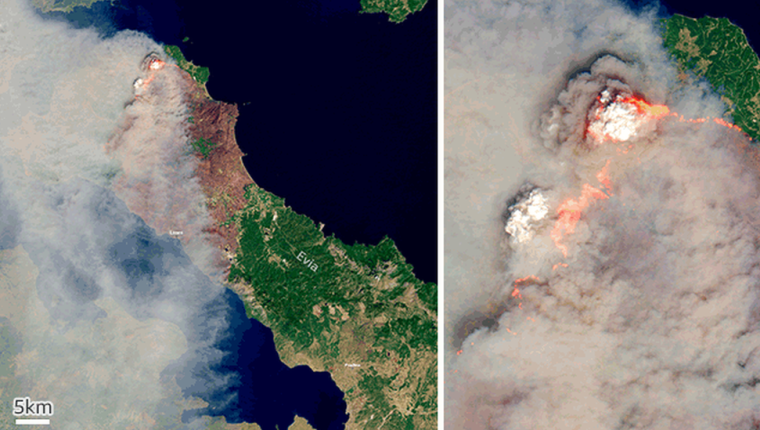 Los fuegos en Evia, Grecia, han sido una de las últimas señales del calentamiento global. (GETTY IMAGES)