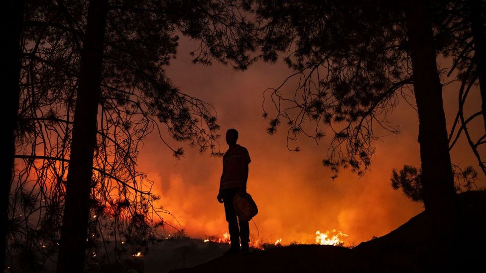 La región de Kabylie fue la más afectada por los peores incendios en la historia de Argelia. (GETTY IMAGES)