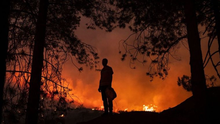La región de Cabilia fue la más afectada por los peores incendios de la historia de Argelia. (IMÁGENES FALSAS)