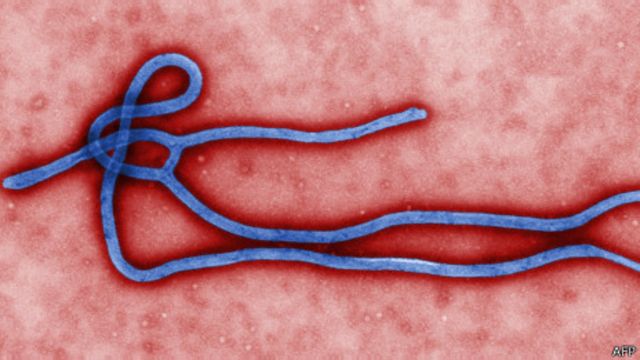 “Grave y mortal”: detectan el primer caso en África occidental de la enfermedad causada por el virus de Marburgo