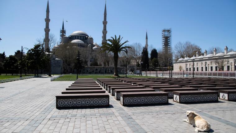 Istanbul (Turkey), 09/04/2020.- A dog sits in an empty area in front of the Sultanahmet Mosque (Blue Mosque) in Istanbul, Turkey, 09 April 2020, during the coronavirus disease (COVID-19) pandemic. (Turquía, Estanbul) EFE/EPA/TOLGA BOZOGLU