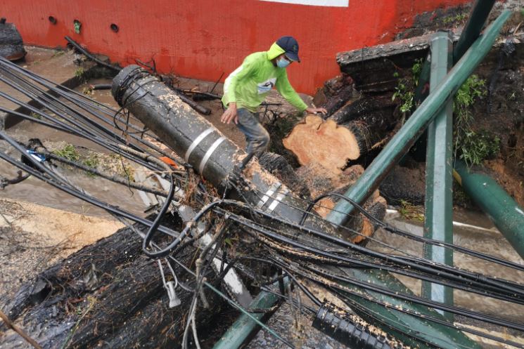 Árbol caído complicó la movilidad en la ruta Interamericana, en Mixco. (Foto Prensa Libre: Juan Diego González) 