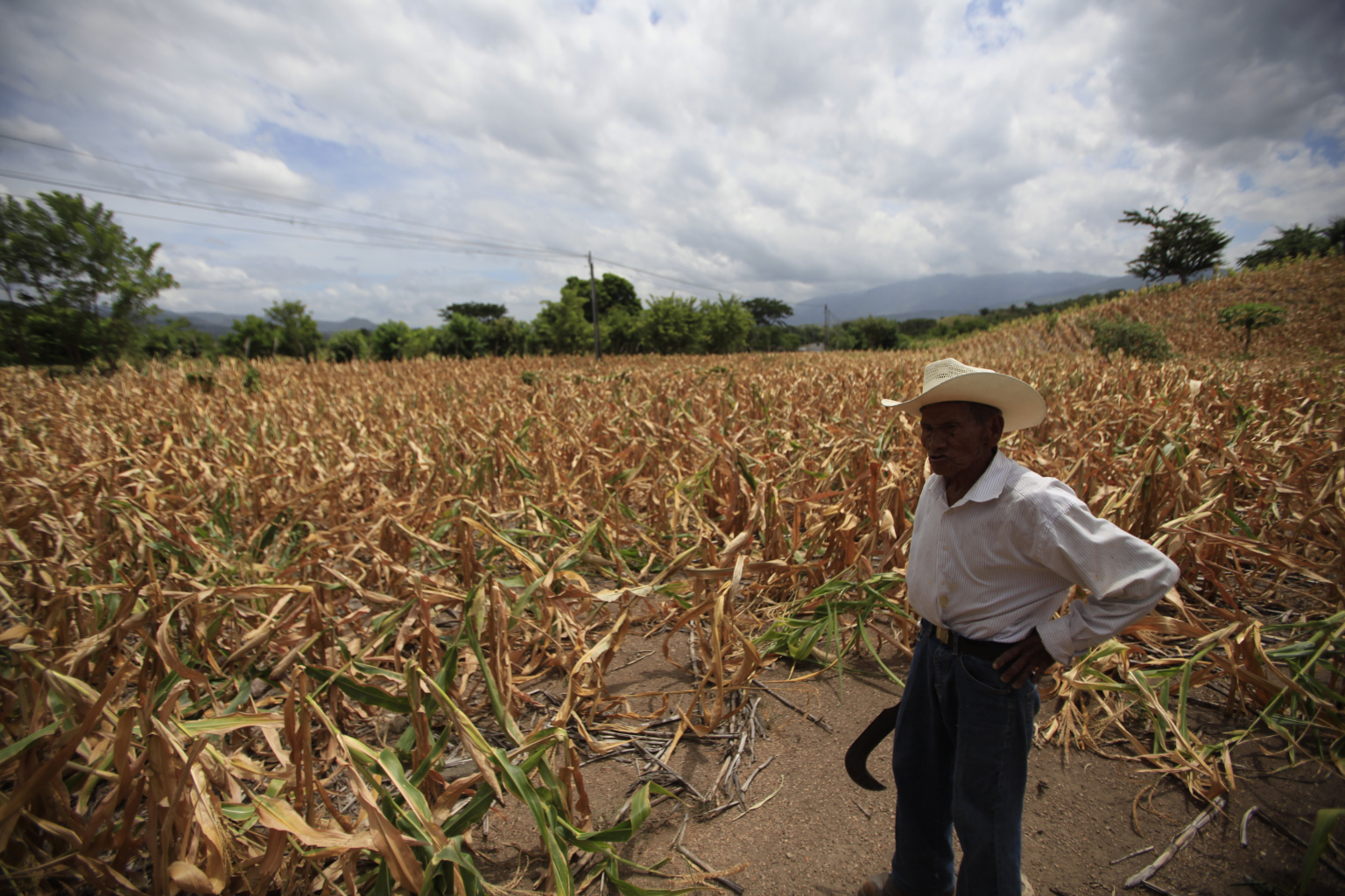 El cambio climático es inevitable, pero si se toman acciones inmediatas puede lograrse que no sea tan grave. (Foto Prensa Libre: Hemeroteca) 