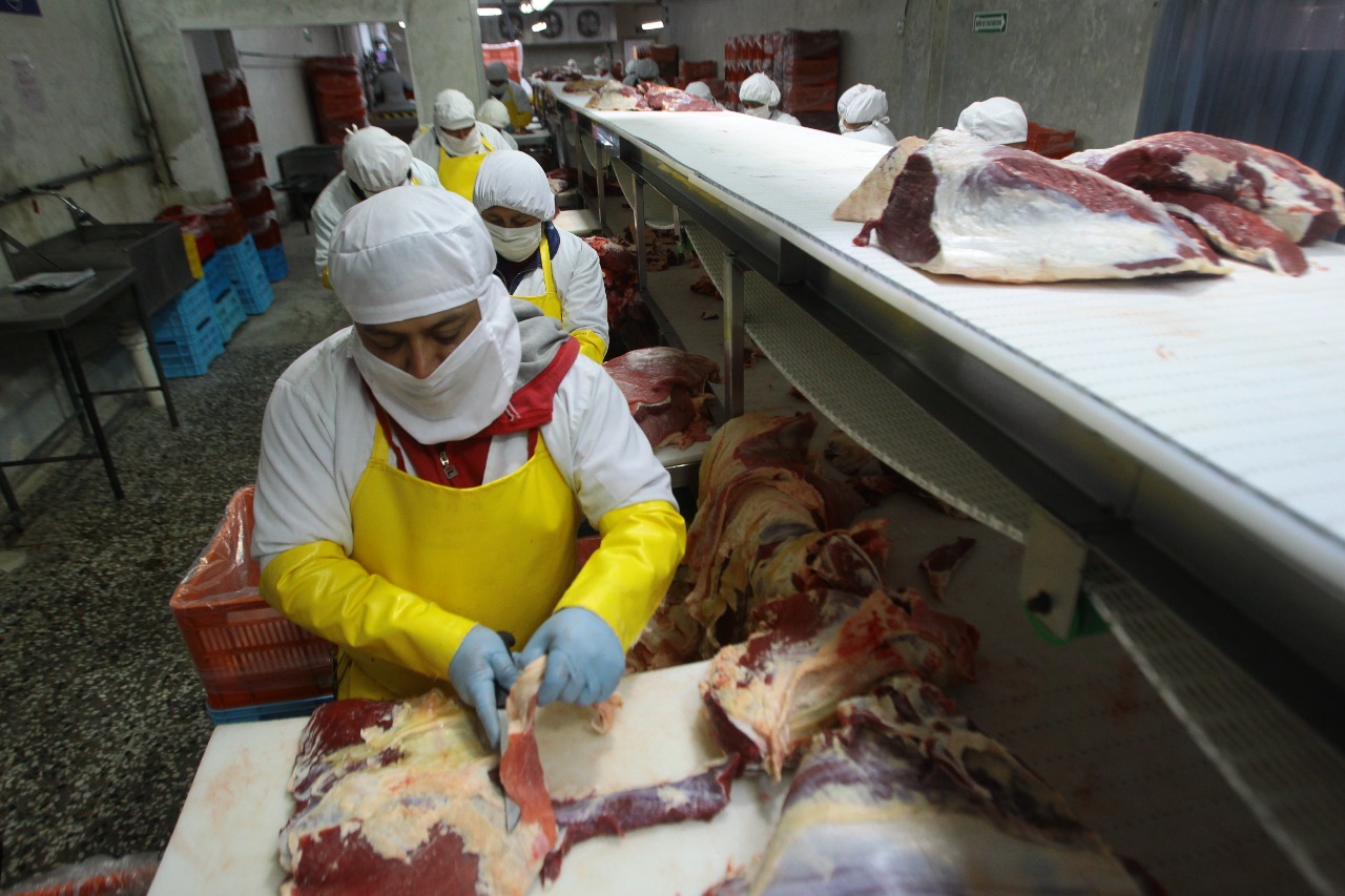 Argentina busca comercializar carne bovina en Centroamérica que es uno de los mercados que tiene interés, según Jorge Neme, secretario de Relaciones Económicas Internacionales de Argentina. (Foto Prensa Libre: Hemeroteca) 
