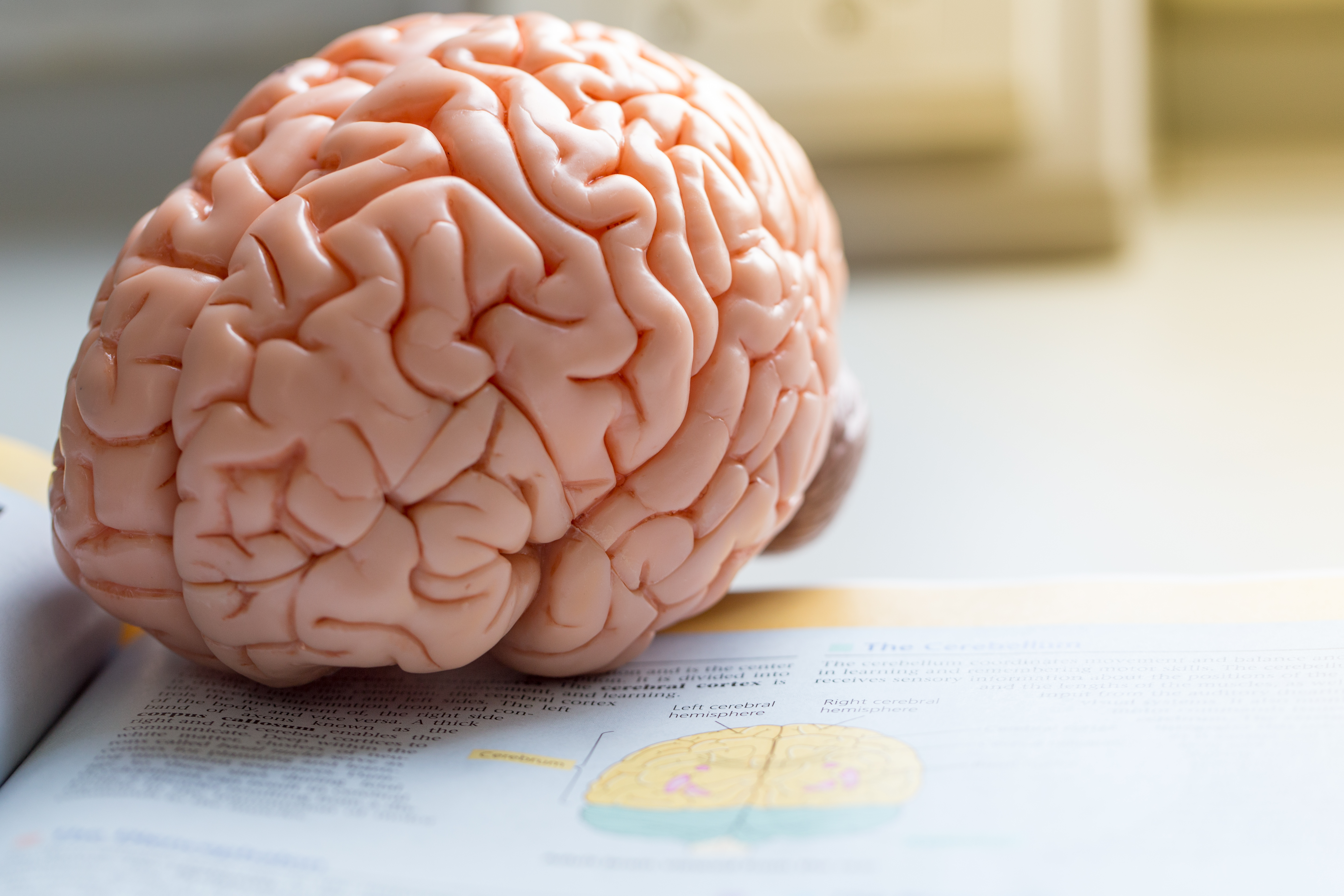 серая жидкость в мозгу. т1 и т2 взвешенные изображения. черное и белое вещество головного мозга. серое вещество мозга. серая жидкость в мозгу.