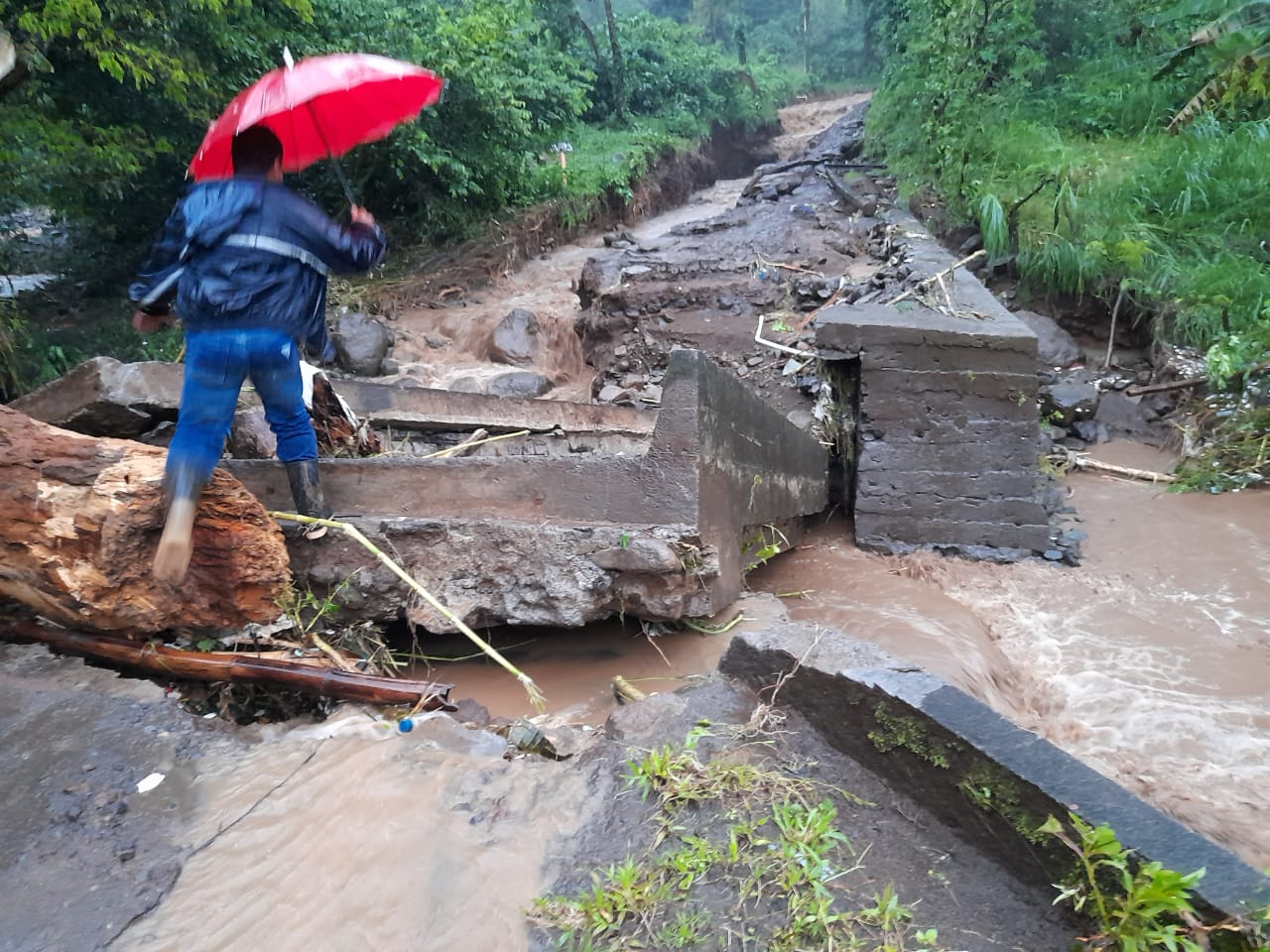 Colapso del puente El Tigre, en Escuintla, Escuintla. (Foto Prensa Libre: Conred)