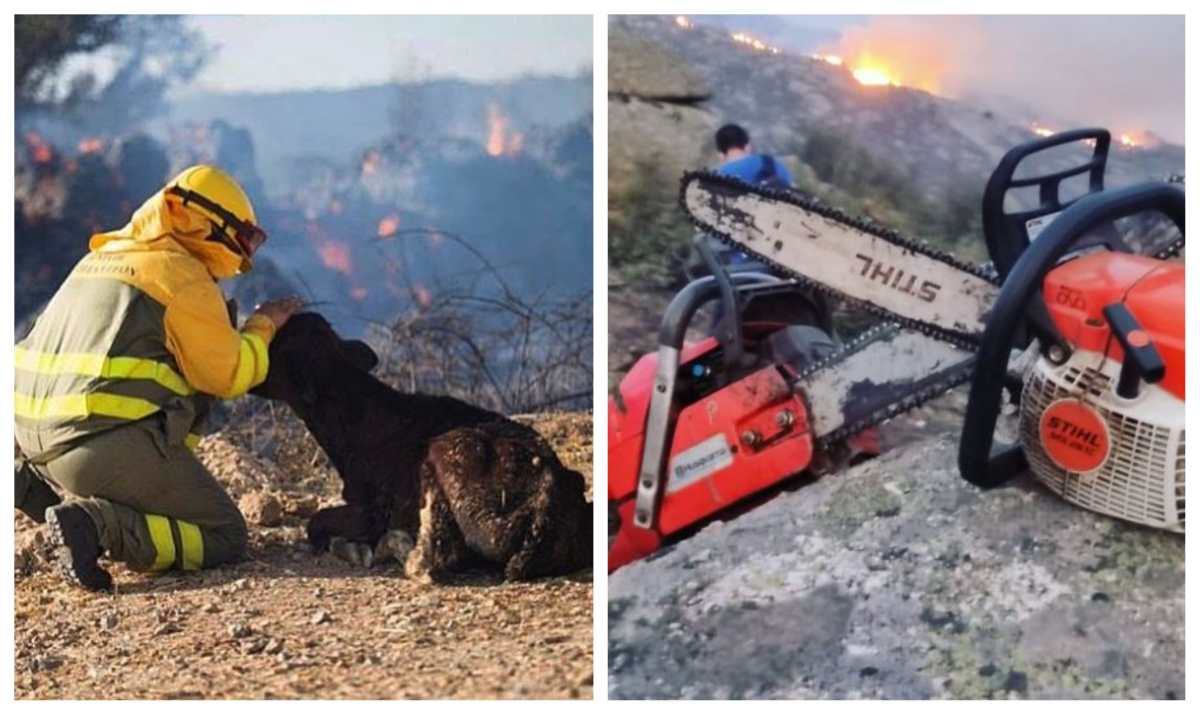 El valiente gesto de Iker Casillas: trabaja en la extinción del incendio en Ávila