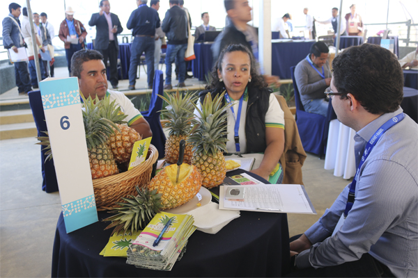 Agro encuentros de negocios promoverán oferta exportable de Guatemala