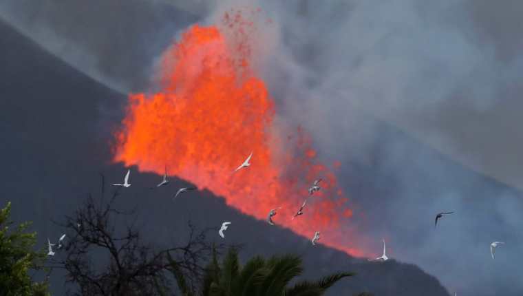 Estudiar lo sucedido en La Palma puede ayudar a reaccionar en futuras erupciones, pero la ciencia no podrá detener estos fenómenos naturales.