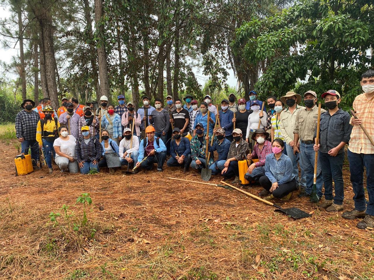 El proyecto 'Plantemos' ha contado con la ayuda de más de 25 mil voluntarios de todo el país. (Foto Prensa Libre: Cortesía de Plantemos)