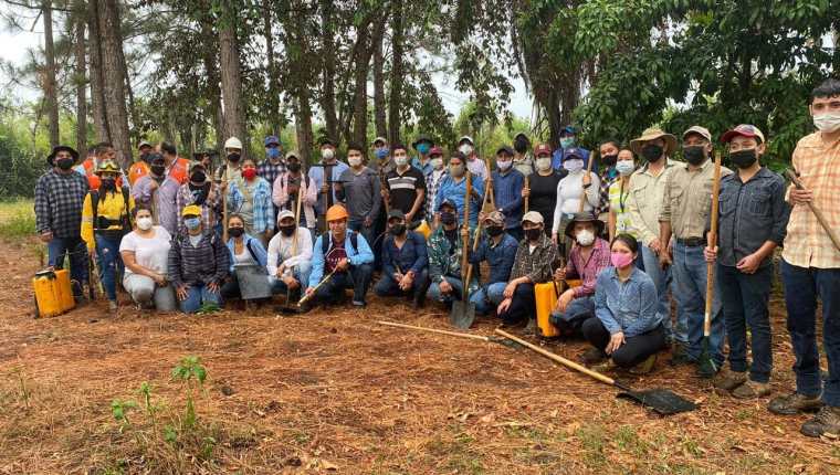 El proyecto 'Plantemos' ha contado con la ayuda de más de 25 mil voluntarios de todo el país. (Foto Prensa Libre: Cortesía de Plantemos)