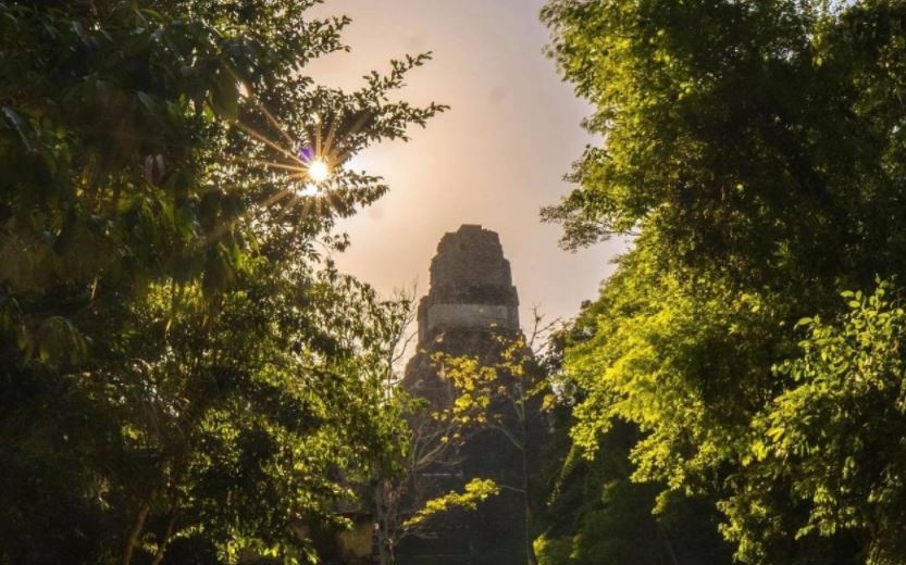 El Parque Nacional Tikal ofrece distintos paisajes a los visitantes. (Foto Prensa Libre: Tomada de Facebook del Parque)