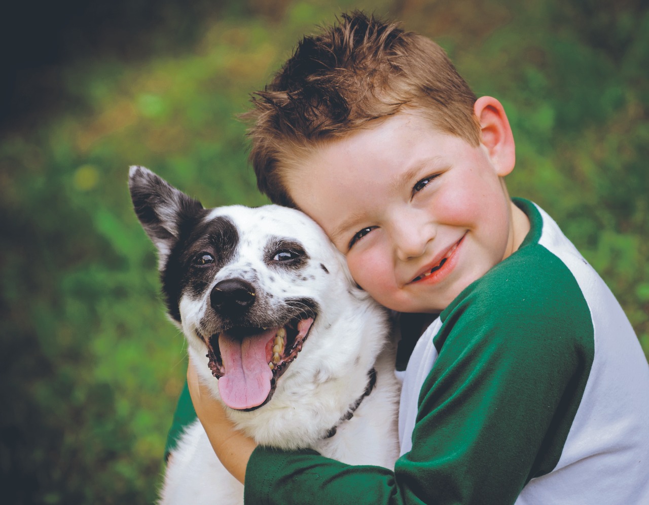 Padres y adultos en el hogar deben enseñar  con el ejemplo respeto  y empatía hacia los animales domésticos que convivan con la familia. (Foto Prensa Libre, Shutterstock)