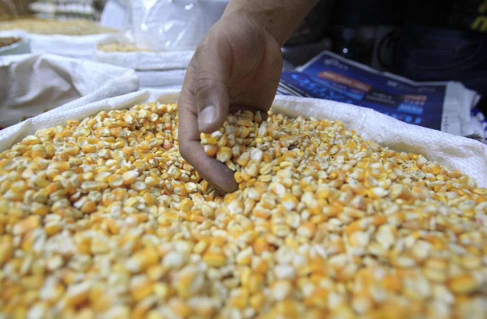 La industria de alimentos y bebidas del país depende de materias primas como el maíz para sus productos. (Foto Prensa Libre: Hemeroteca)