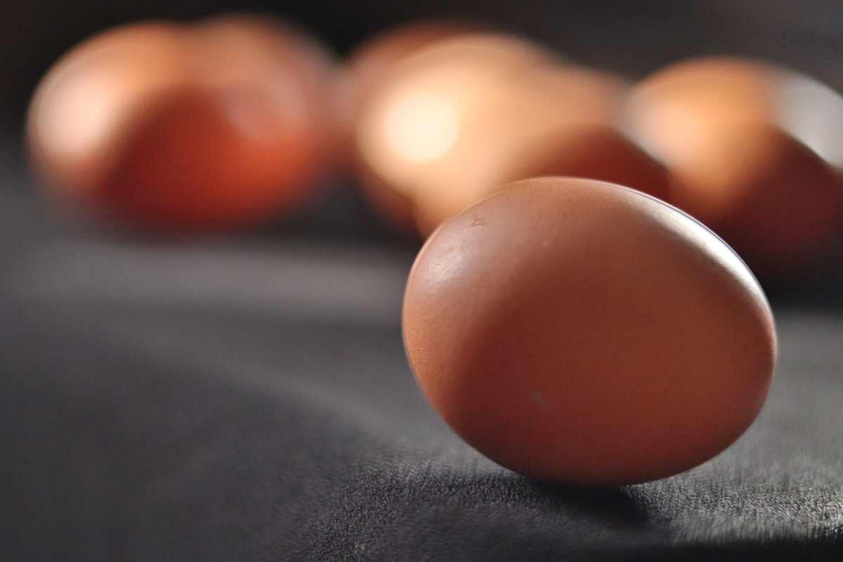 Cuántas calorías tiene un huevo y otros datos de sus beneficios al consumirlo
