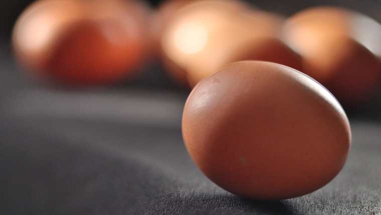 6 curiosidades para conocer más del huevo, un alimento esencial