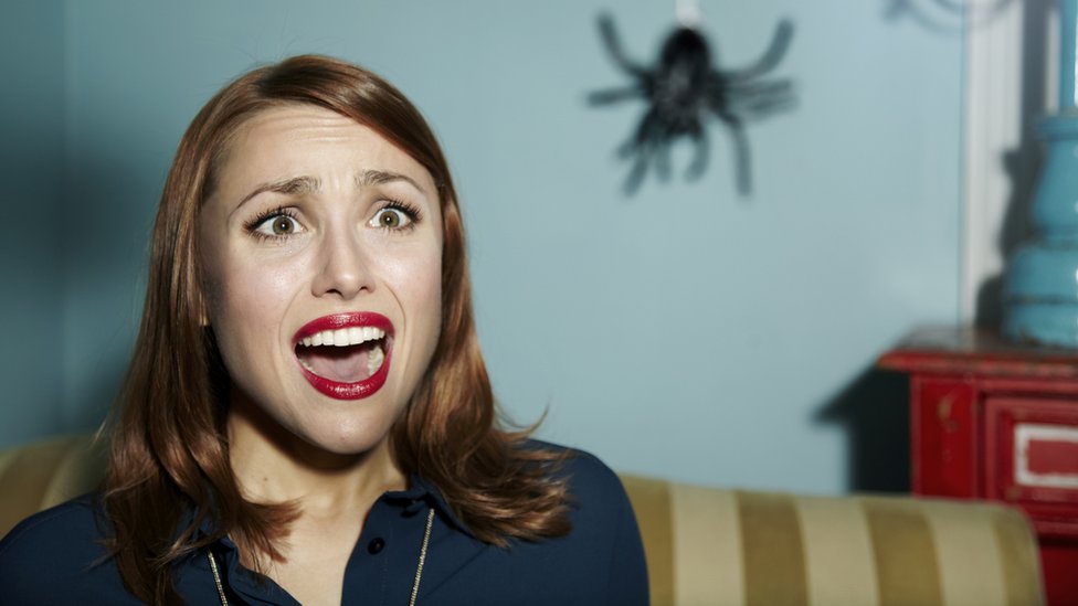 Por qué la mayoría de los humanos tenemos un miedo irracional a las arañas (aunque no hagan daño ni porten enfermedades)