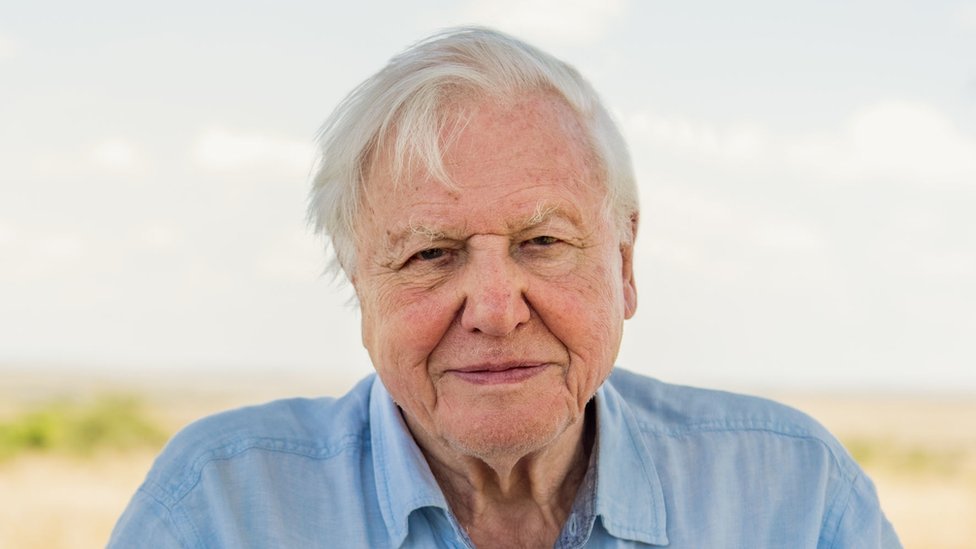 Sir David Attenborough, con 95 años, hablará durante la cumbre COP26 que comienza el próximo 31 de octubre.  PA Media