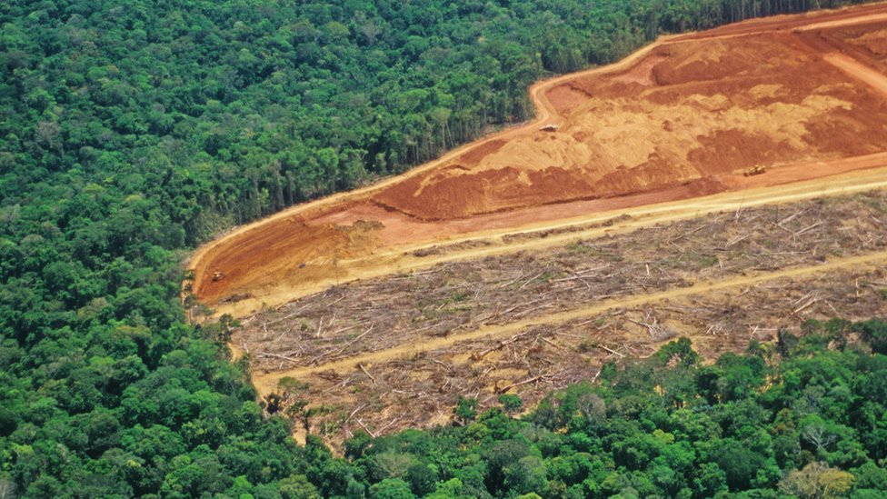 El estudio tiene en cuenta, por primera vez, las emisiones causadas por la deforestación, no solo la quema de combustibles fósiles. (GETTY IMAGES)