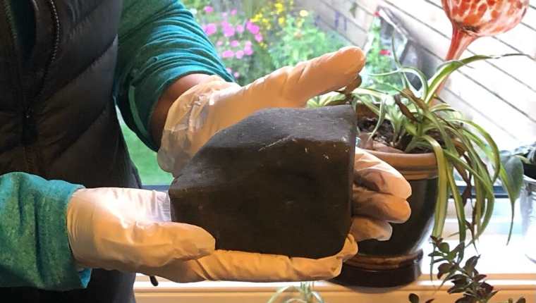 El meteorito que se estrelló en la habitación de Ruth Hamilton en Golden, Columbia Británica. (Ruth Hamilton)