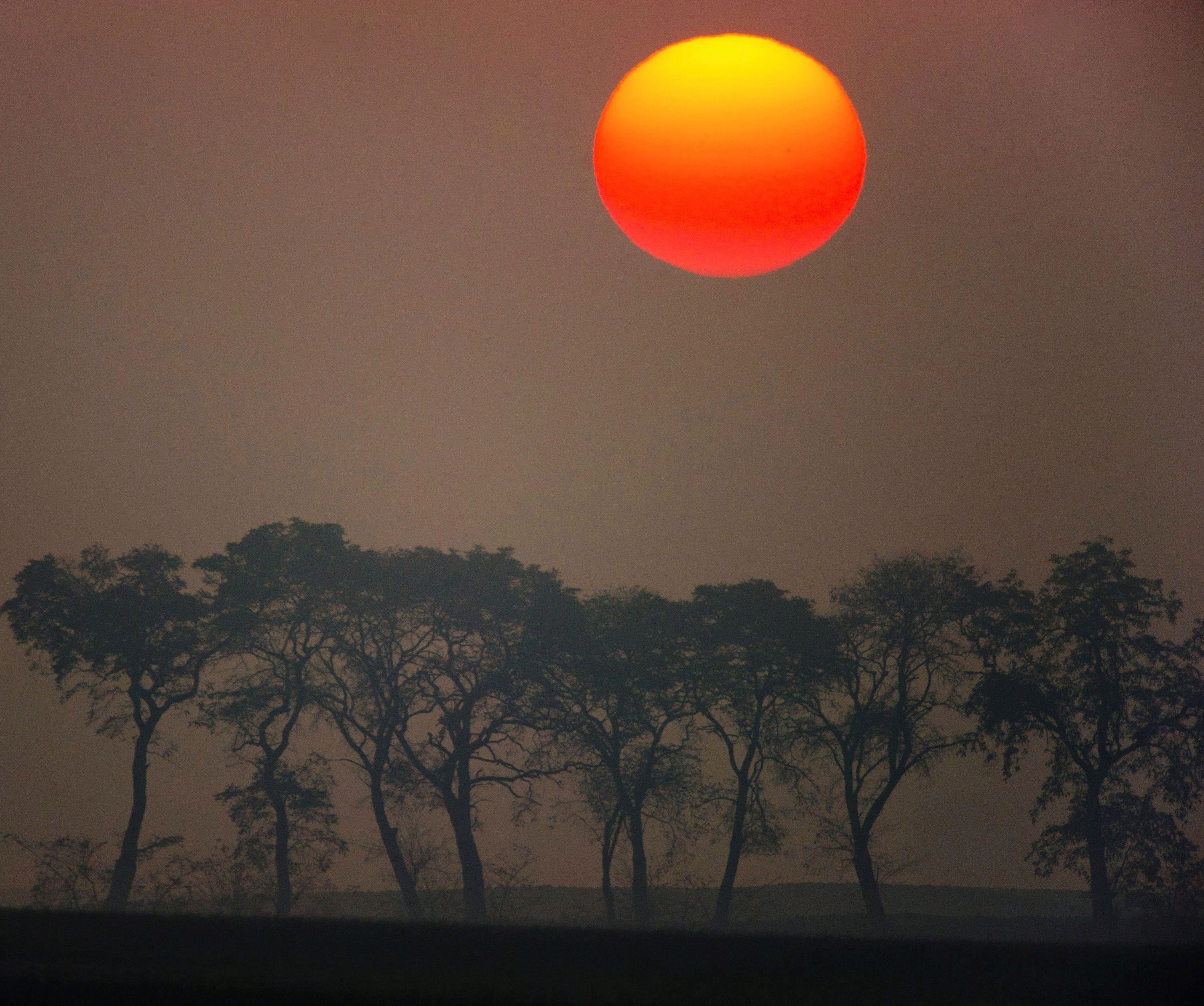 Disfrute de las pequeñas cosas