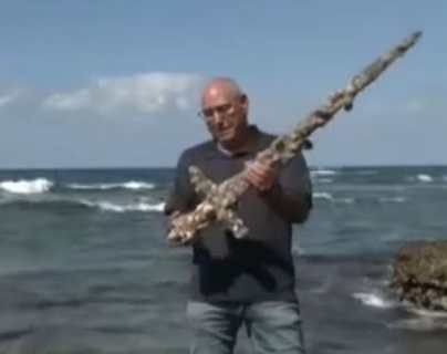Video: impresionante hallazgo de una espada de 900 años perteneciente a Las Cruzadas encontrada en el Mediterráneo