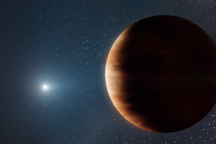 Ilustración artística de un planeta del tamaño de Júpiter en órbita alrededor de un tipo de estrella llamada enana blanca a unos 6500 años luz de la Tierra. (W. M. Keck Observatory/Adam Makarenko vía The New York Times)