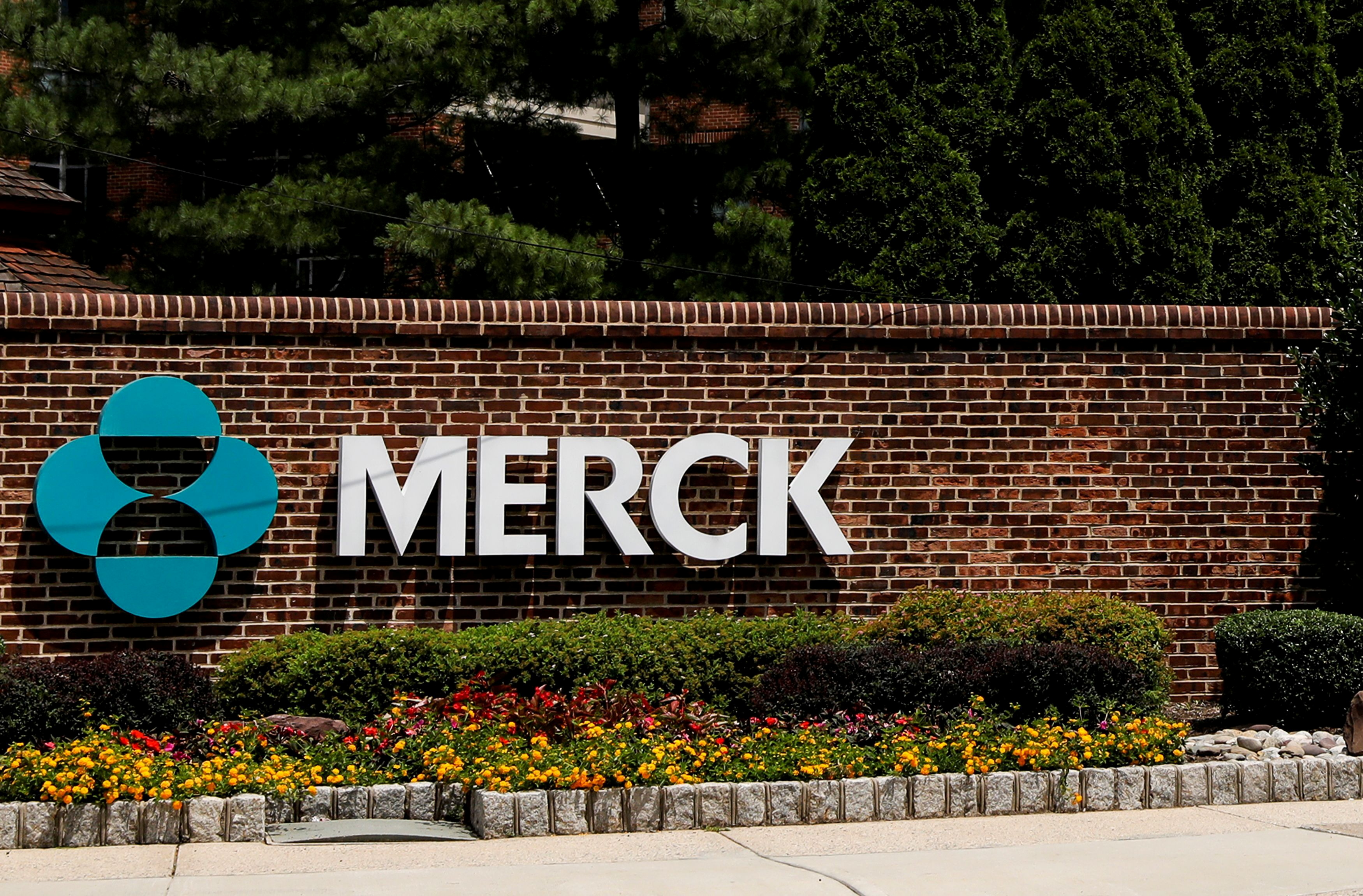 Merck indica que el medicamento antiviral molnupiravir podría frenar las posibilidades de hospitalización o muerte en personas con mayor riesgo de desarrollar coronavirus. (Foto Prensa Libre: Reuters)
