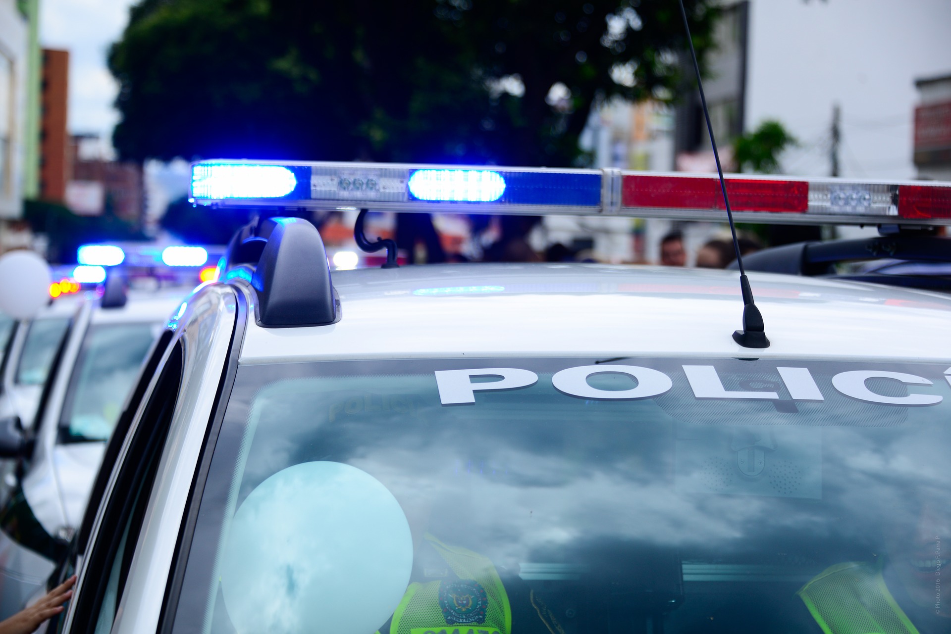 La policía de en Florida, EE. UU. detuvo a un hombre por homicidio negligente.  (Foto Prensa Libre: Pixabay)