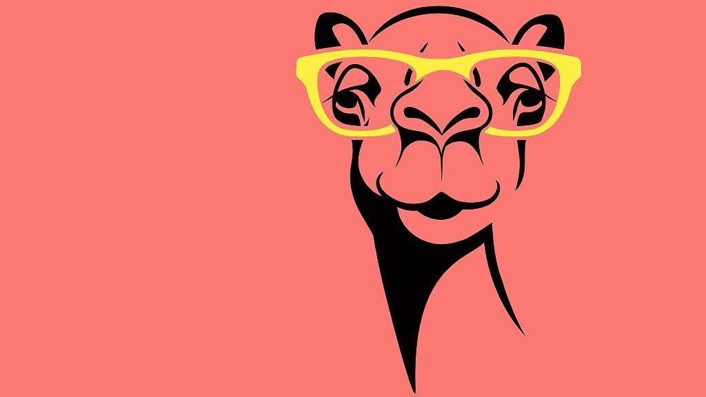 Cómo los camellos pueden ayudar a extender la vida útil de las medicinas (y a mucho más)