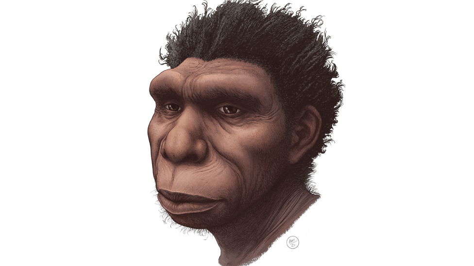 Ilustración del Homo bodoensis. (ETTORE MAZZA)
