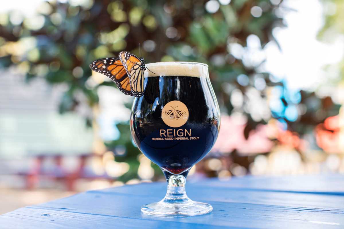 Beber cerveza puede ahora ayudar a la conservación de las mariposas monarca