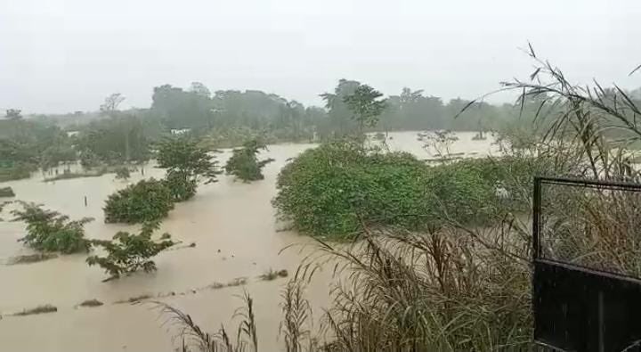 Lluvias provocaron inundaciones en áreas de cultivo en comunidades de Chisec, Alta Verapaz. (Foto Prensa Libre: Conred)