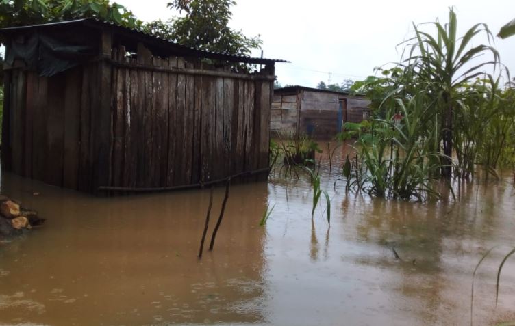 Desde CAYEY: aguas puras y seguridad alimentaria o un estacionamiento de  4,300 vehículos en tierras inundables - Claridad