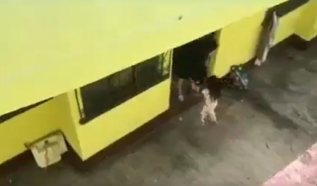 Ministerio Público rescata a niña que era víctima de agresión por parte su madre. (Foto Prensa Libre: Captura de video)