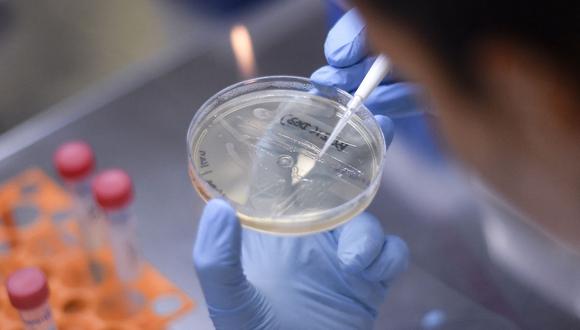 La nueva cepa del coronavirus preocupa a todos los países. (Foto: Hemeroteca PL)