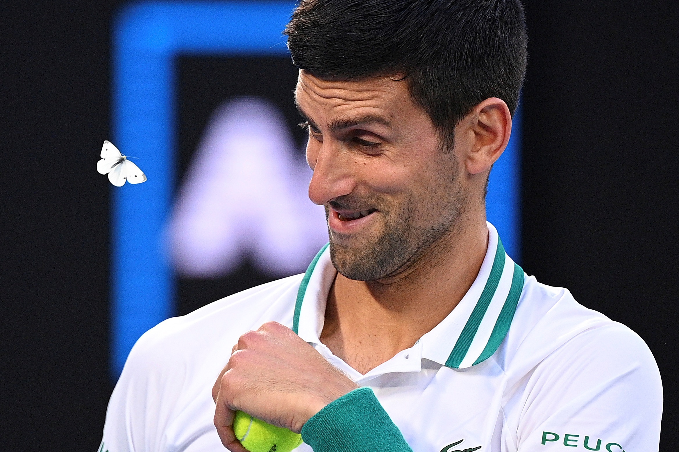 El tenista serbio Novak Djokovic reacciona ante una polilla durante la semifinal del Abierto de Australia ante el ruso Aslan Karatsev celebrada en Melbourne, Australia, el 18 de febrero de 2021. (Foto Prensa Libre: EFE)