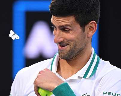 Djokovic no disputará la ATP Cup en Sídney, según prensa serbia