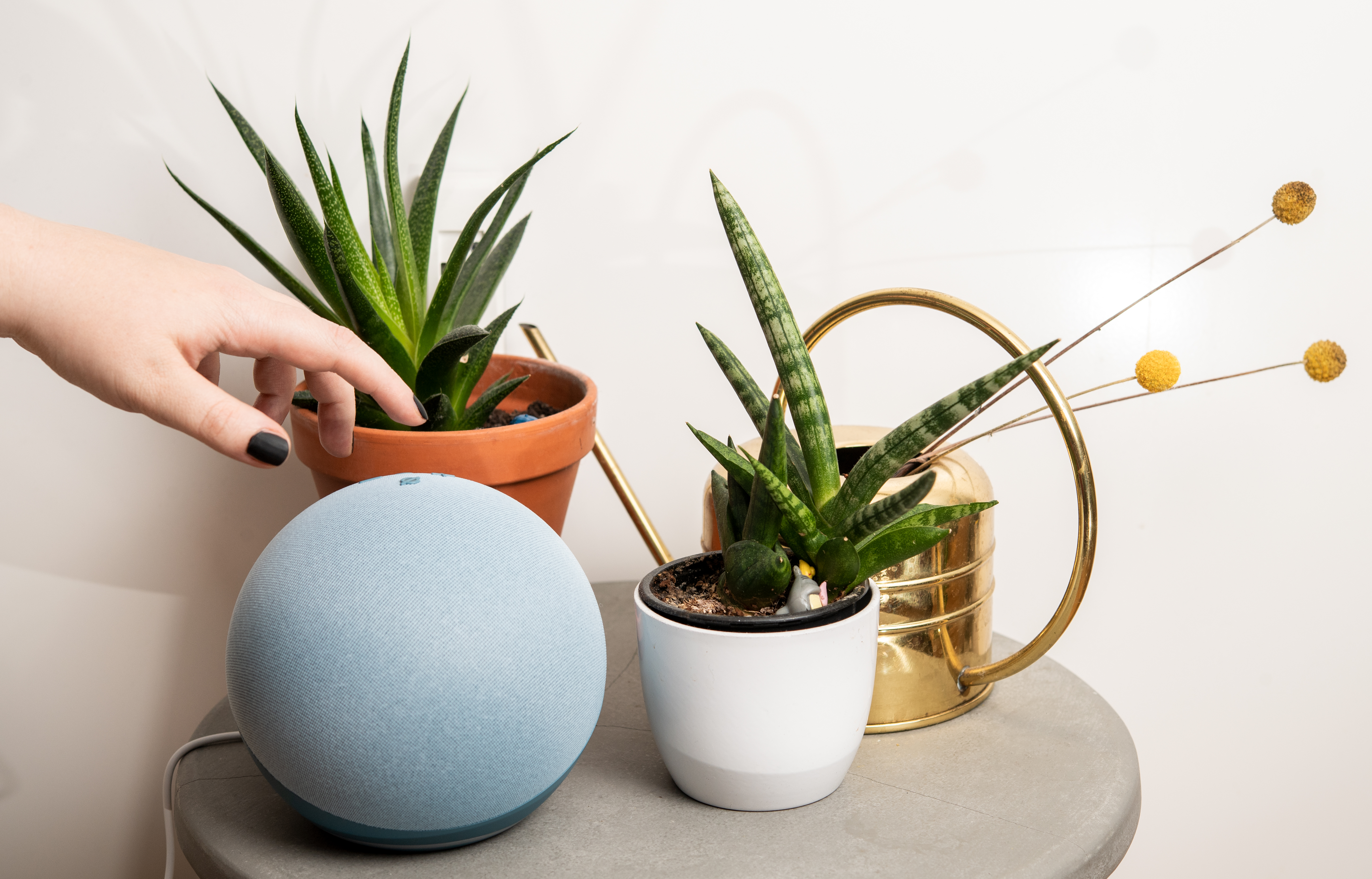 Alexa recibe voz masculina y nueva palabra de activación