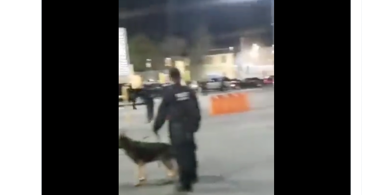 El incidente fue grabado por usuarios de redes. (Foto captura de pantalla Twitter/@MeganoticiasZAM). 