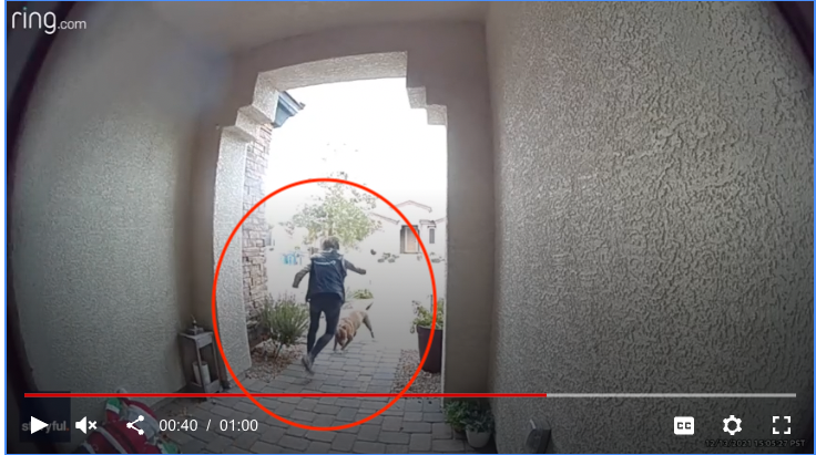 Video: Trabajadora de Amazon salva a joven y a su perro del ataque de un pitbull