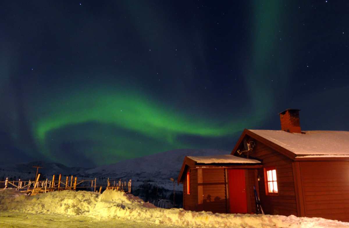 Colorido espectáculo en el cielo: app ayuda a buscar auroras boreales