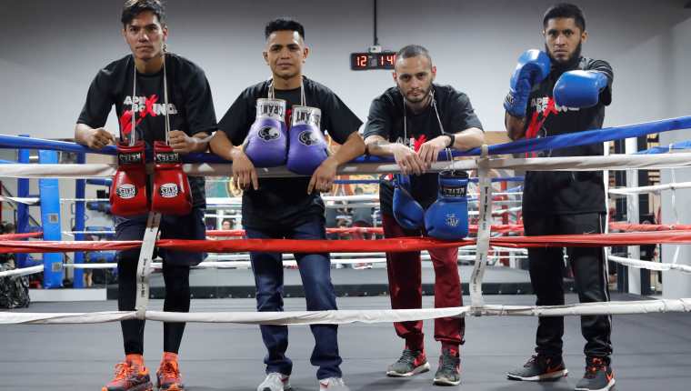 Juan Manuel Méndez, René de León, Pablo Macario y  Wálter Duarte son figuras del boxeo profesional. (Foto Prensa Libre: Esbin García).