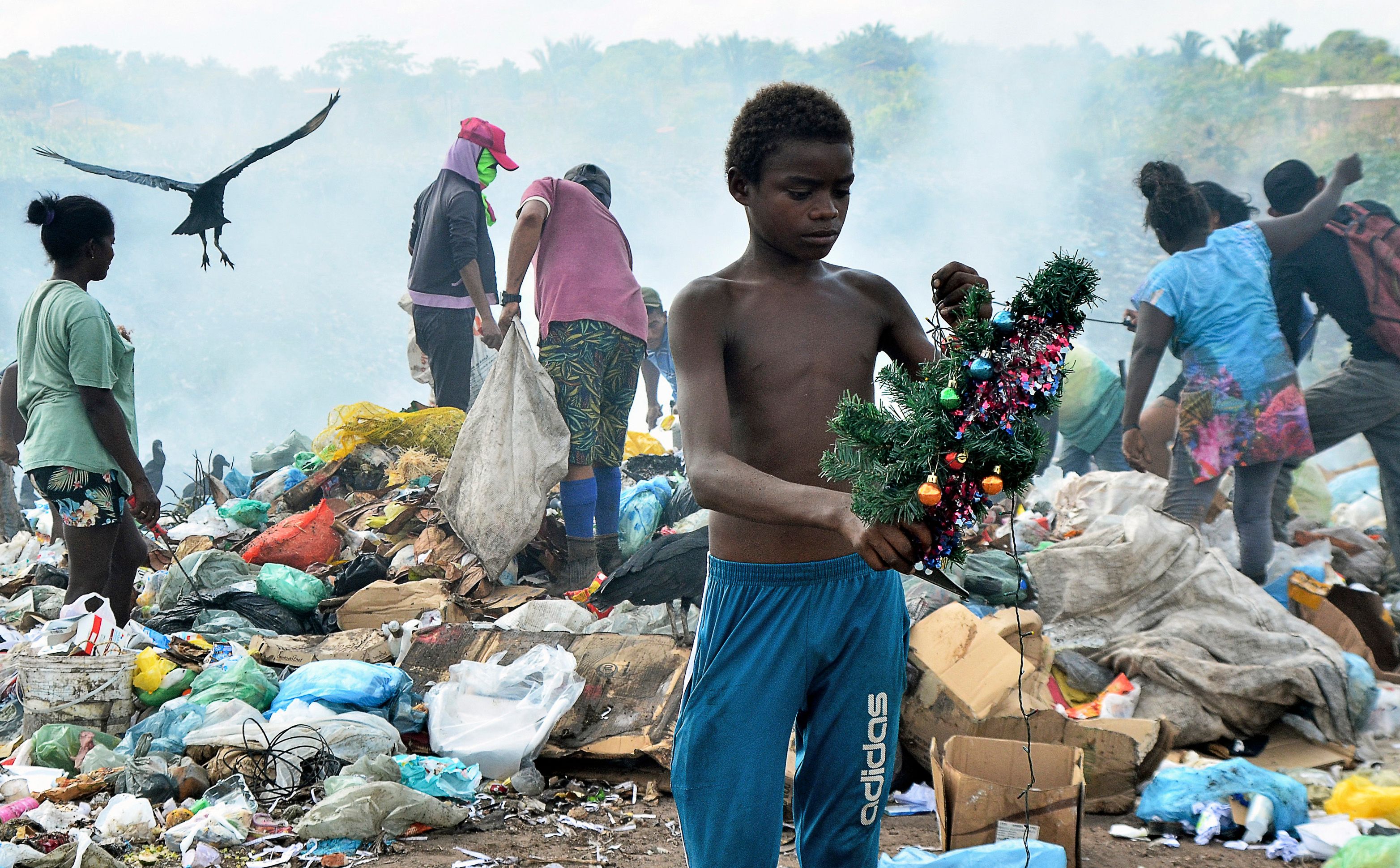 Gabriel Jesús Silva, de 12 años, fue captado en un basurero sosteniendo un pequeño árbol de Navidad que había sido desechado. (Foto Prensa Libre: AFP)