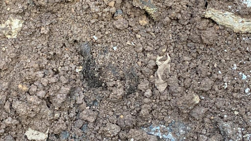 En una vivienda de la zona 18 investigadores de la Policía Nacional Civil localizaron una fosa con posibles restos humanos (Foto Prensa Libre: PNC) 